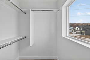 Walk in closet with carpet floors