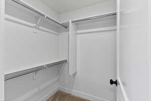 Walk in closet with carpet floors