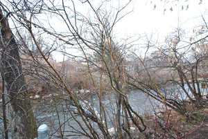 Logan River in backyard