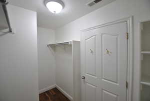 Primary Walk in closet featuring wood-style floors and plenty of hanging space