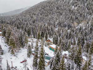 Bird's eye view of a heavily wooded area