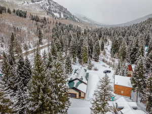 Snowy aerial view featuring a mountain view and a wooded view