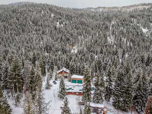 Aerial view of property and surrounding area with a forest