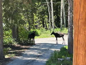 View of property's community