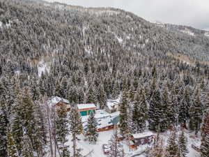 Drone / aerial view of a heavily wooded area