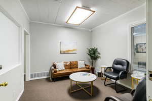 Living room with carpet and ornamental molding