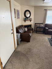 Living room with carpet floors and a fireplace