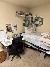 Bedroom featuring carpet floors and an office area