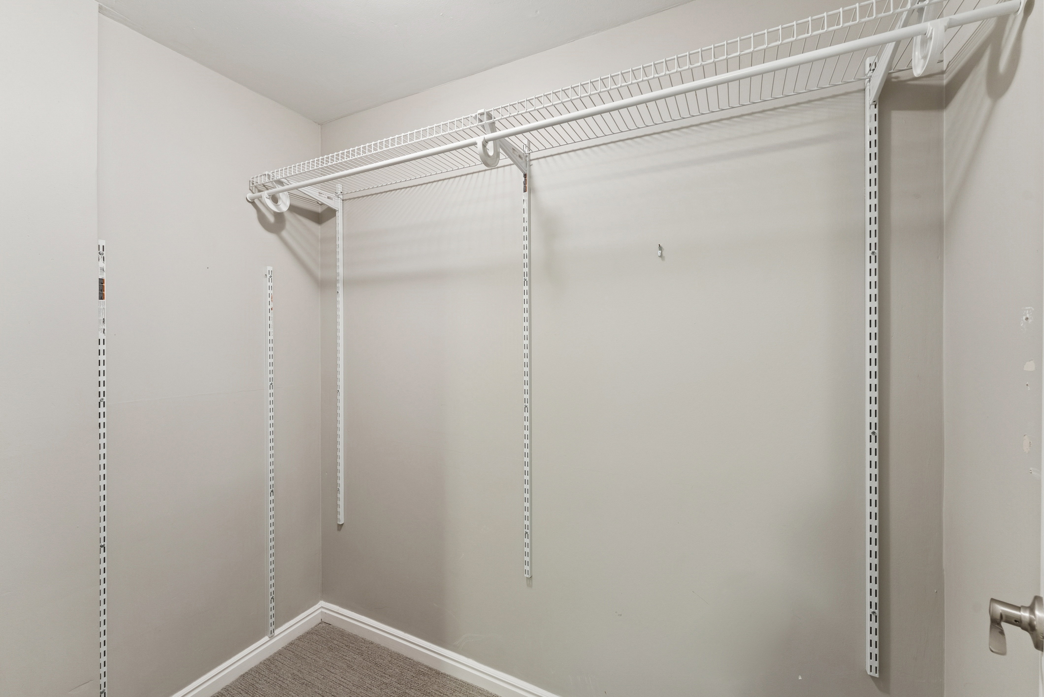 Walk in closet featuring carpet floors