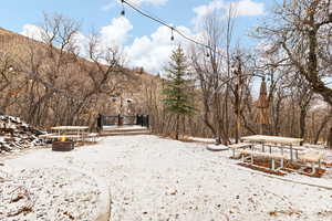 Backyard firepit and picnic area