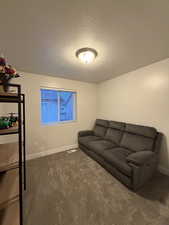 Carpeted living room featuring a textured ceiling