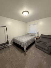 Bedroom featuring dark colored carpet and a textured ceiling
