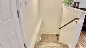 Stairs with carpet and baseboards