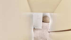Stairs with carpet floors