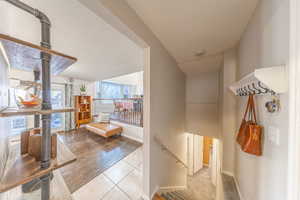 View from garage door