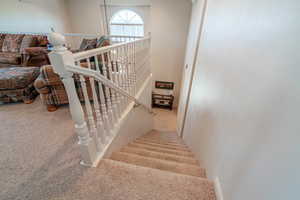 Stairway with carpet
