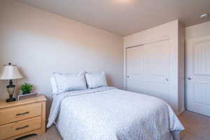 Bedroom with a closet and carpet flooring