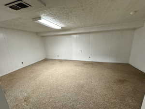 Finished below grade area featuring carpet floors, a textured ceiling, and wooden walls
