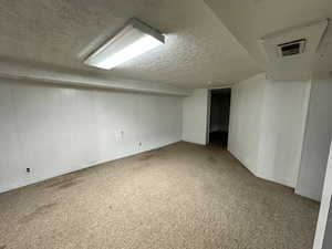 Finished basement featuring a textured ceiling and light colored carpet