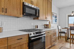 Bosch Stainless Steel Appliances, Gas Stove, and Quartz Countertops