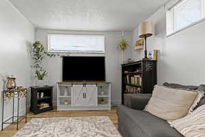 Living area featuring light wood finished floors, ornamental molding, and a textured ceiling