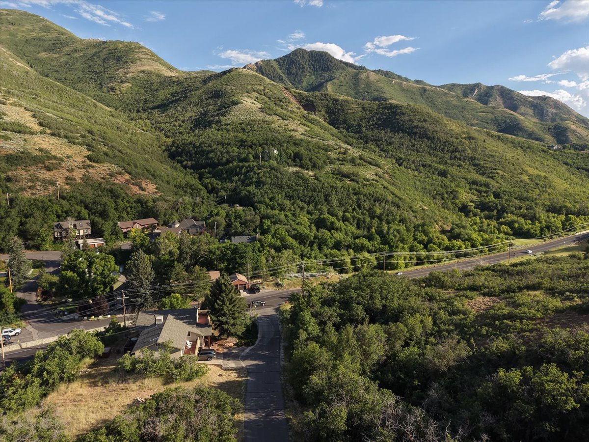 Expansive mountain landscape with diverse green foliage