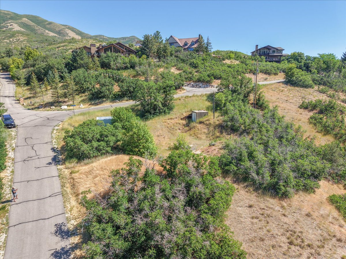 Hillside property featuring mature trees and established roads