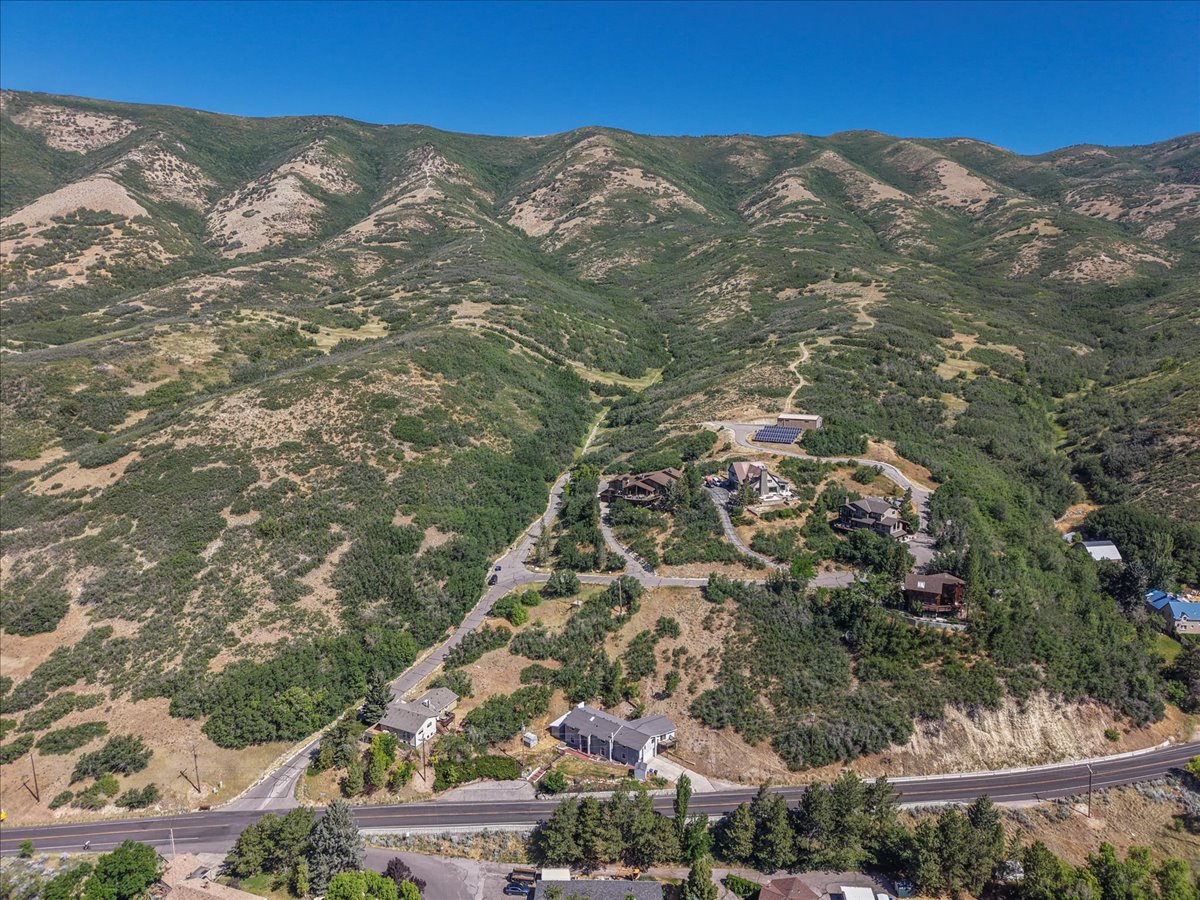 Terraced mountain landscape featuring a mix of mature trees and natural vegetation