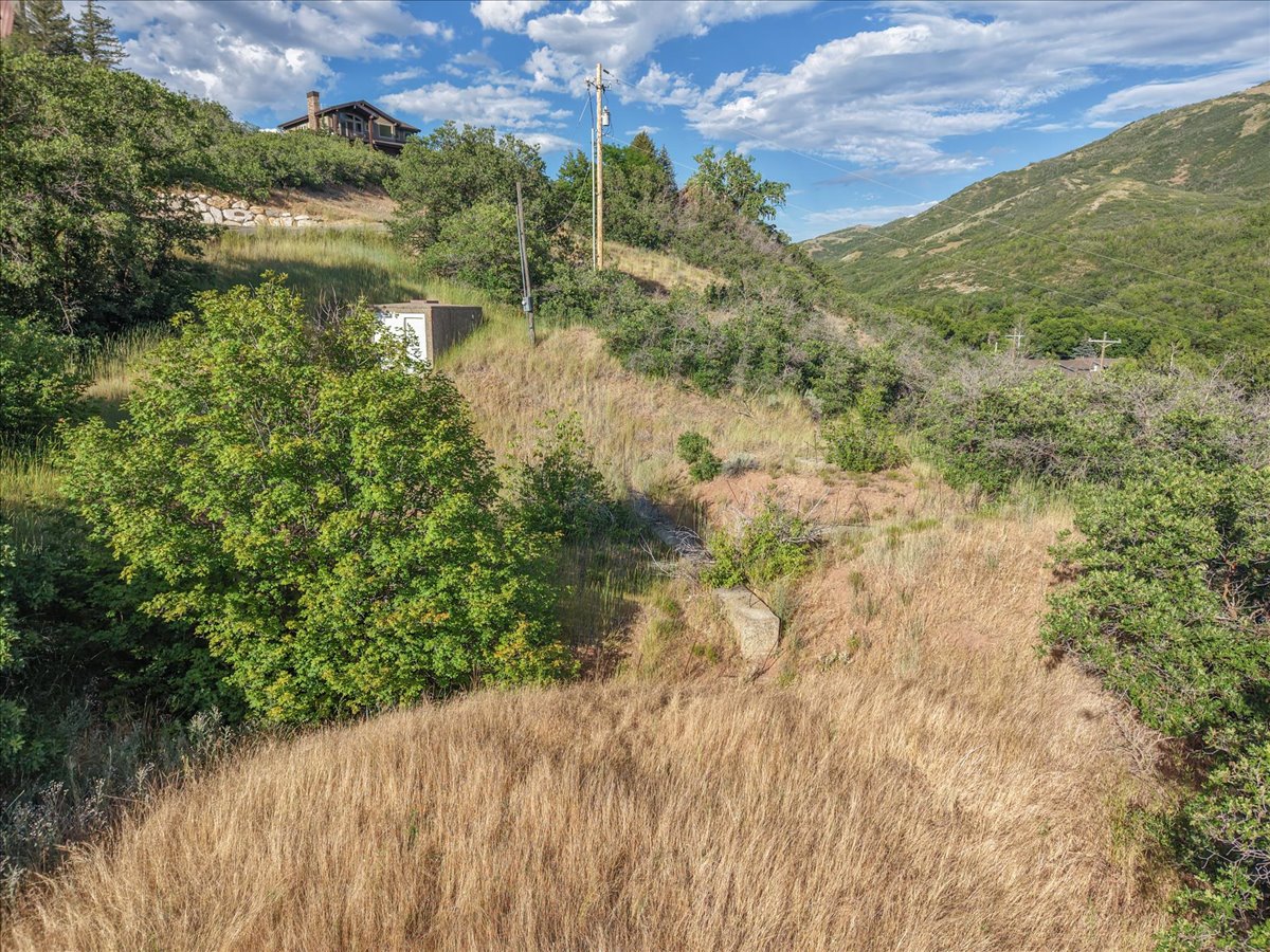 Mountainous terrain featuring natural vegetation and distant structures