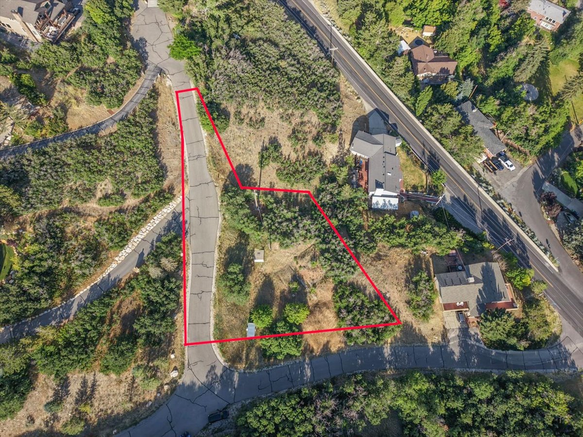 Vacant land parcel featuring a sloped topography and surrounding dense greenery