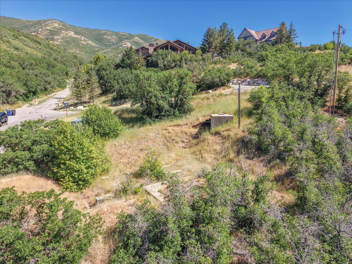 Sloping terrain featuring natural vegetation and distant mountainous backdrop