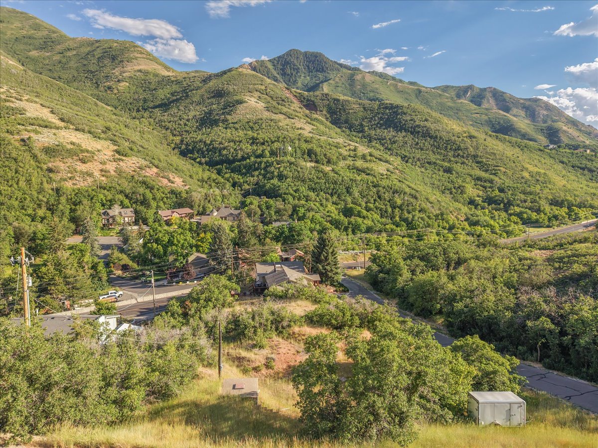 Expansive mountain setting featuring diverse tree coverage and multiple distant residential structures