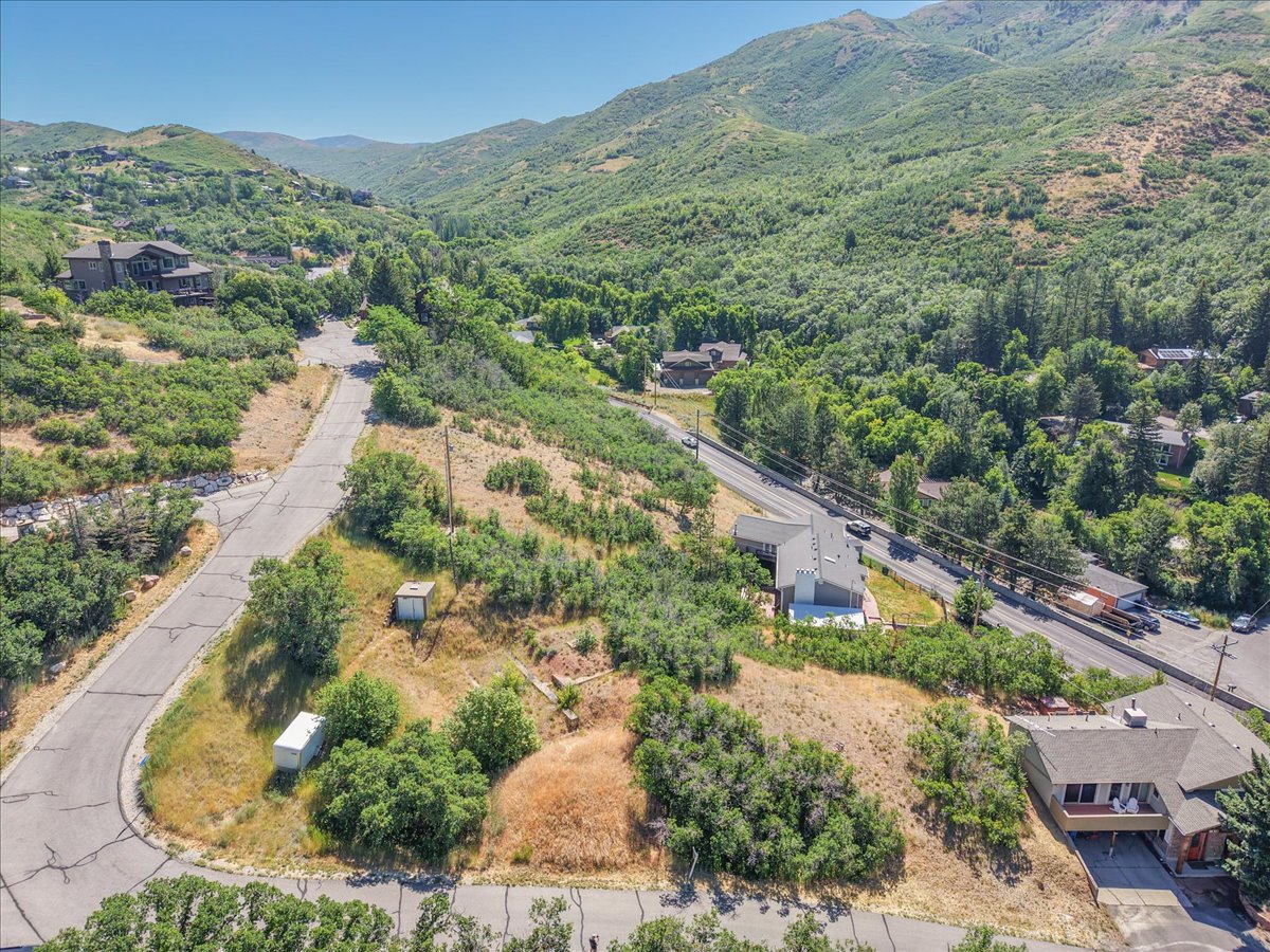 Expansive sloped land parcel offering development potential
