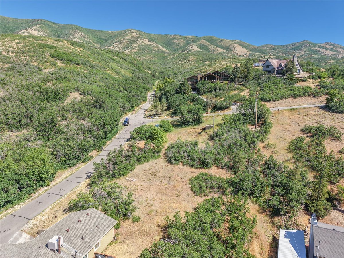 Expansive mountain property featuring a paved road, scattered mature trees, and a clear blue sky