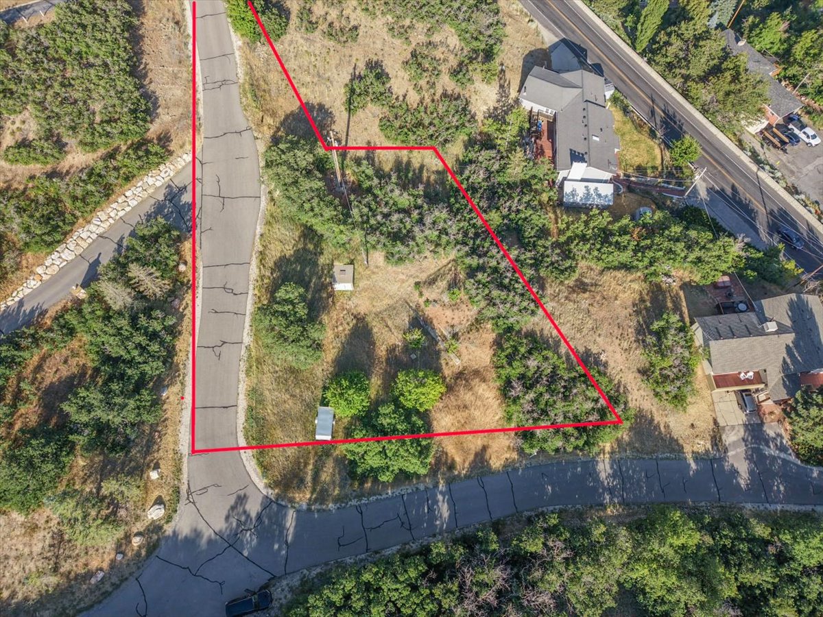 Expansive undeveloped lot featuring natural vegetation, a curved paved road, and a sloped terrain