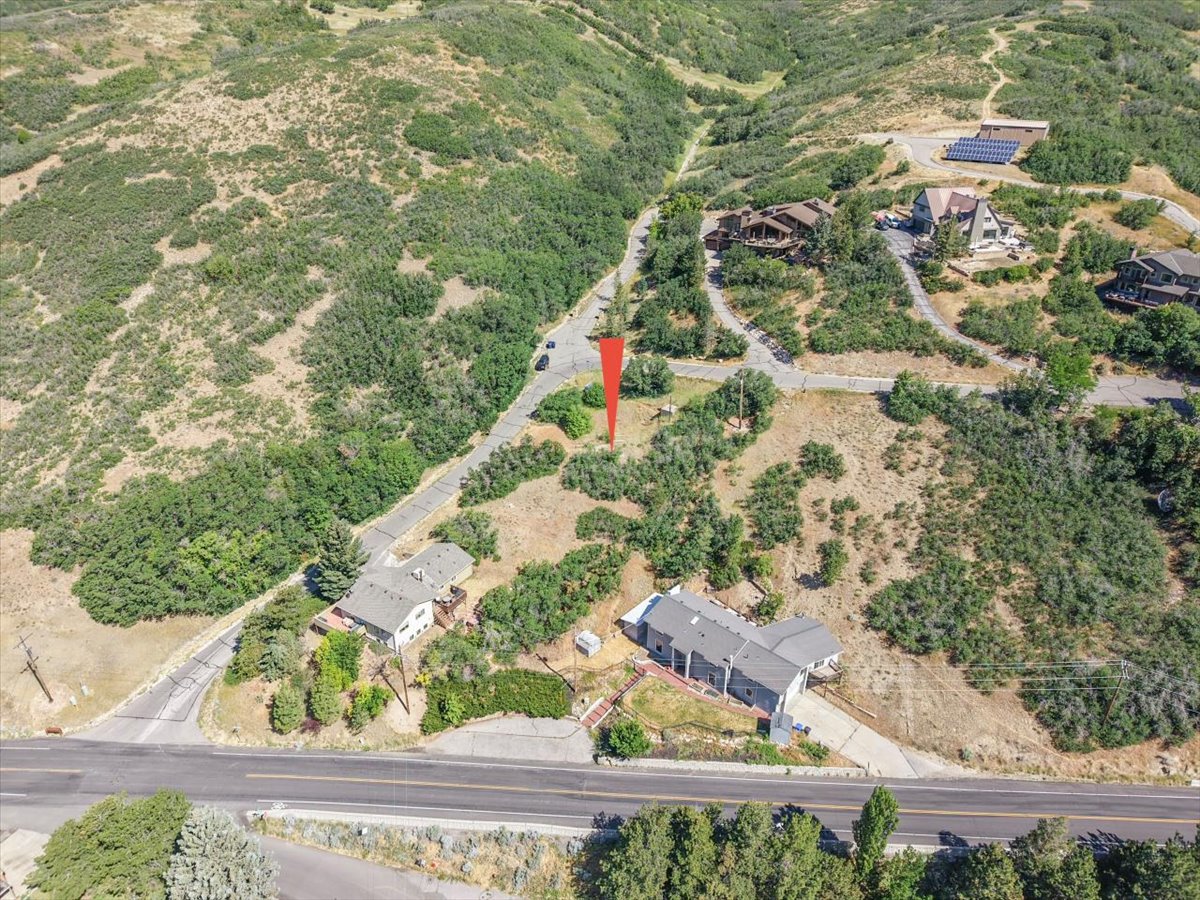 Sloping terrain with mature vegetation, featuring a paved road and accessible building sites