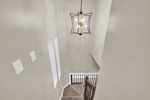 Stairs with suspended lighting and carpet flooring