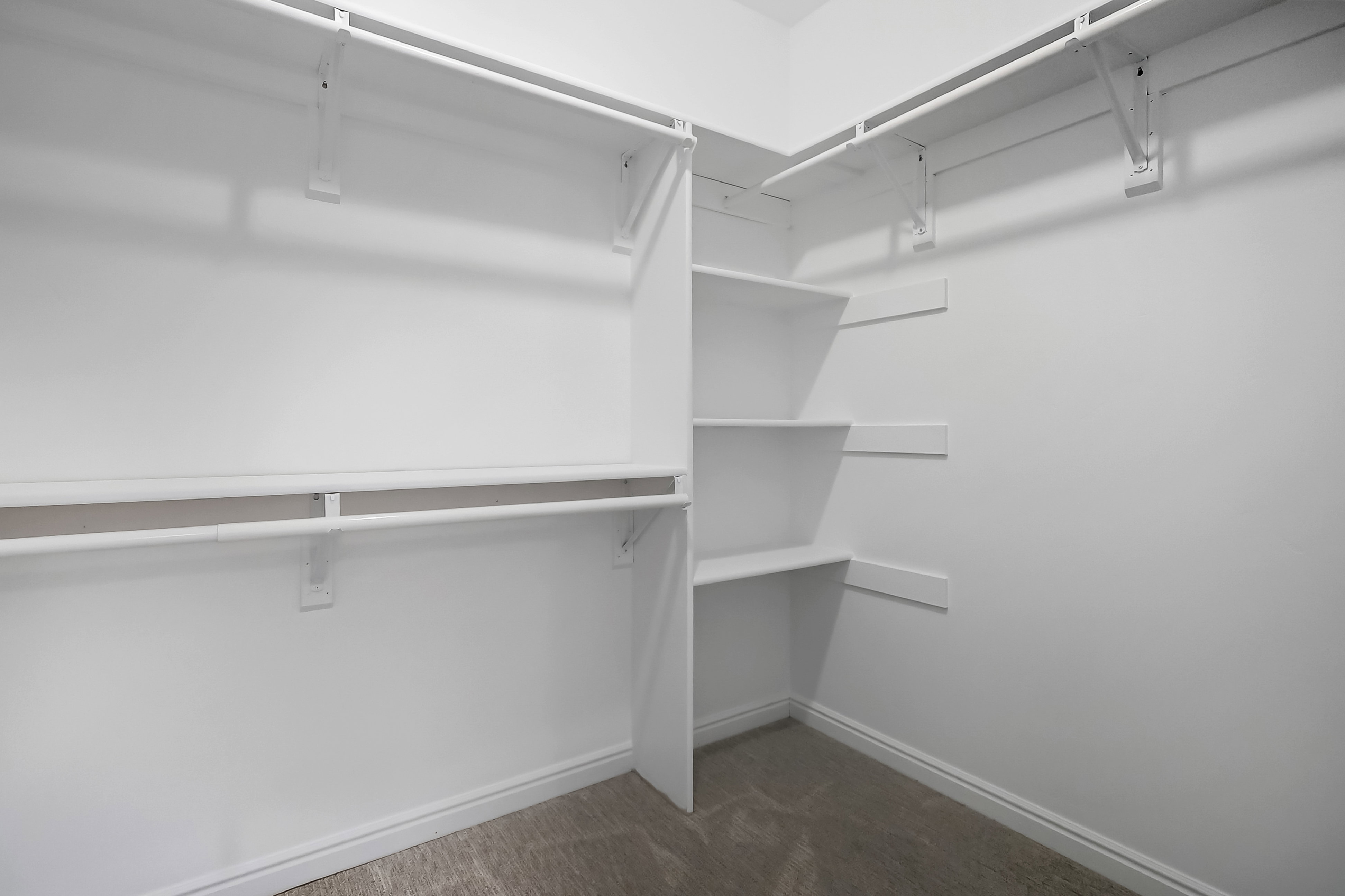 Walk in closet featuring dark carpet