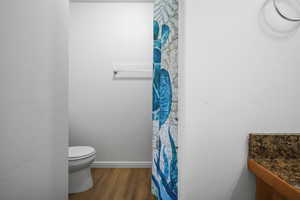 Bathroom featuring wood finished floors and a shower with curtain