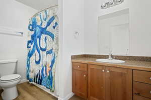 Full bathroom with vanity, a shower with shower curtain, and wood finished floors