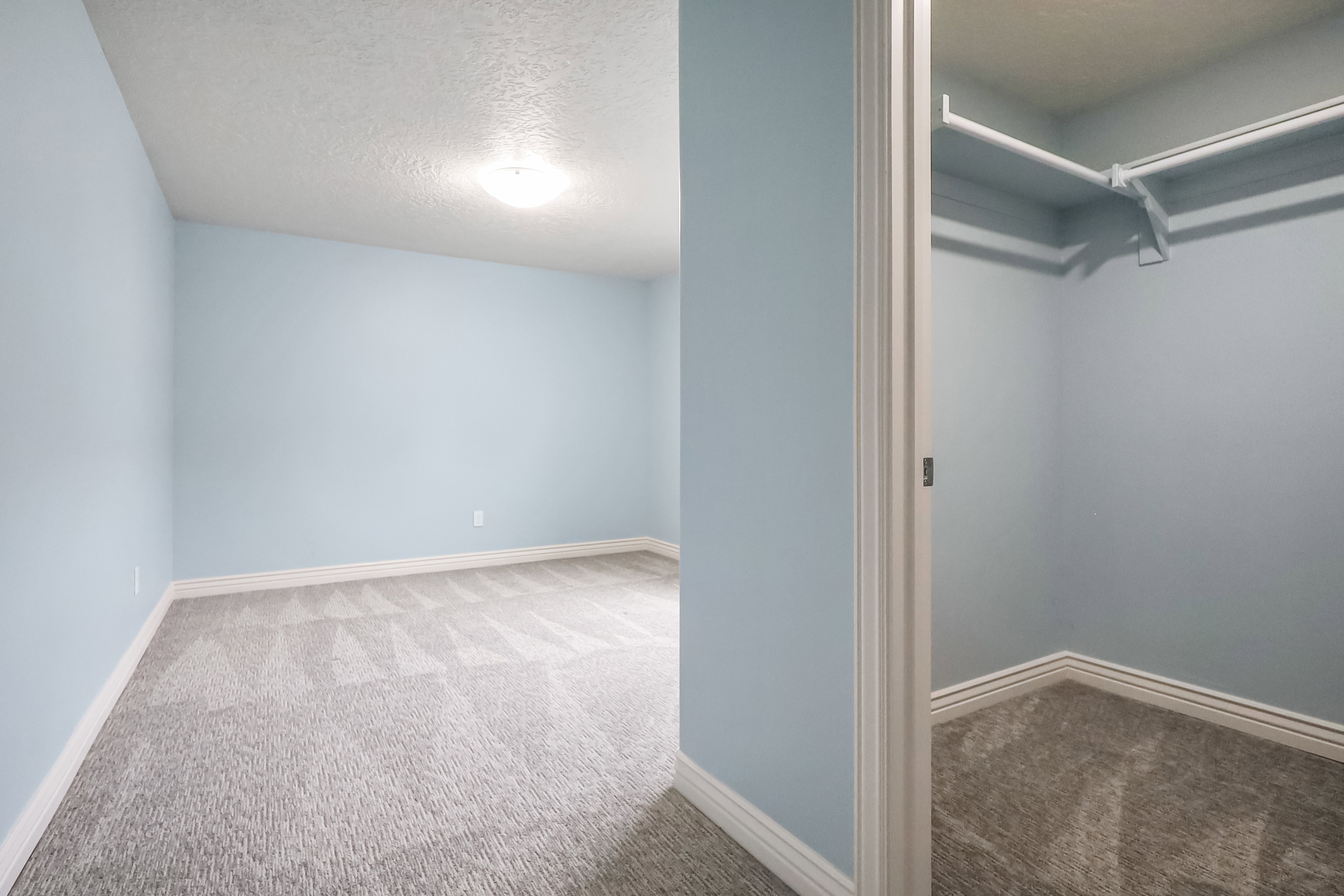 Walk in closet featuring carpet floors