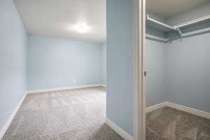 Walk in closet featuring carpet floors
