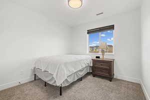 Carpeted guest bedroom #2