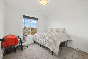 Carpeted guest bedroom #1