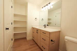 Bathroom featuring vanity, light wood-style flooring, and a closet