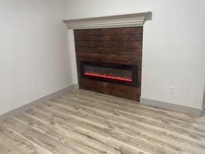 Detailed view of a glass covered fireplace and wood finished floors
