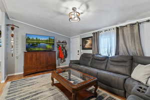 Living area featuring vaulted ceiling, wood finished floors, and ornamental molding