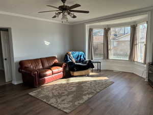 Living area with ceiling fan, laminate flooring, and ornamental molding
