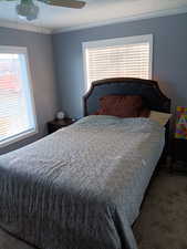 Bedroom 2 featuring carpet floors, multiple windows, a ceiling fan, and ornamental molding