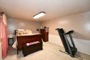 Bedroom with carpet flooring
